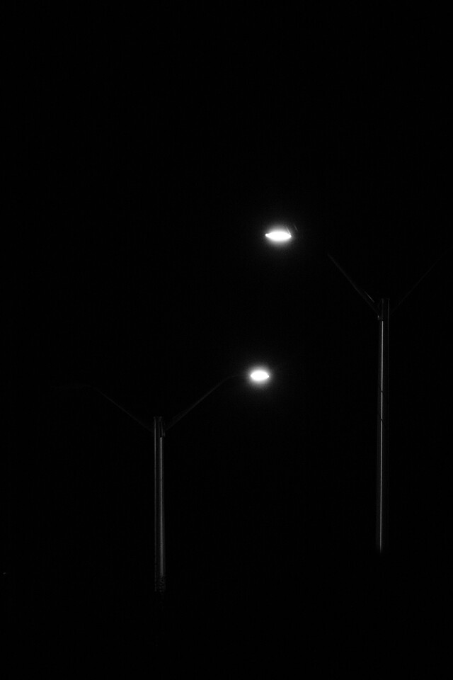 Обои 2025-11-19 №75202