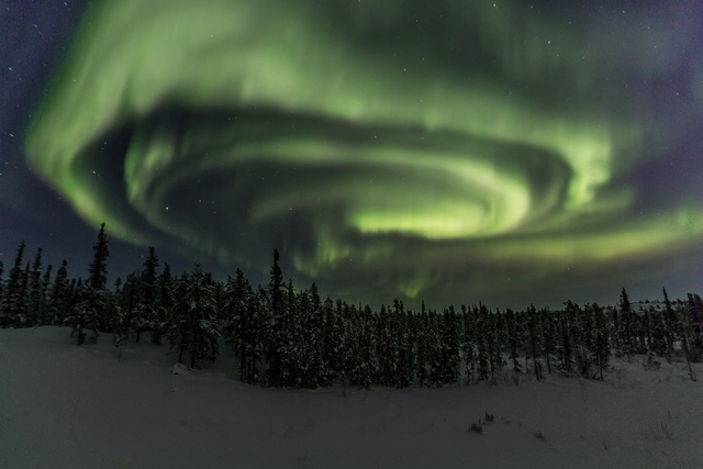 Обои 2025-11-20 №75243