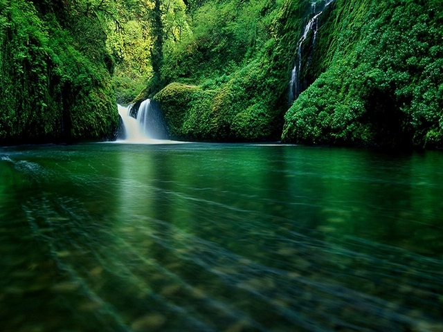 Обои 2025-11-20 №75256