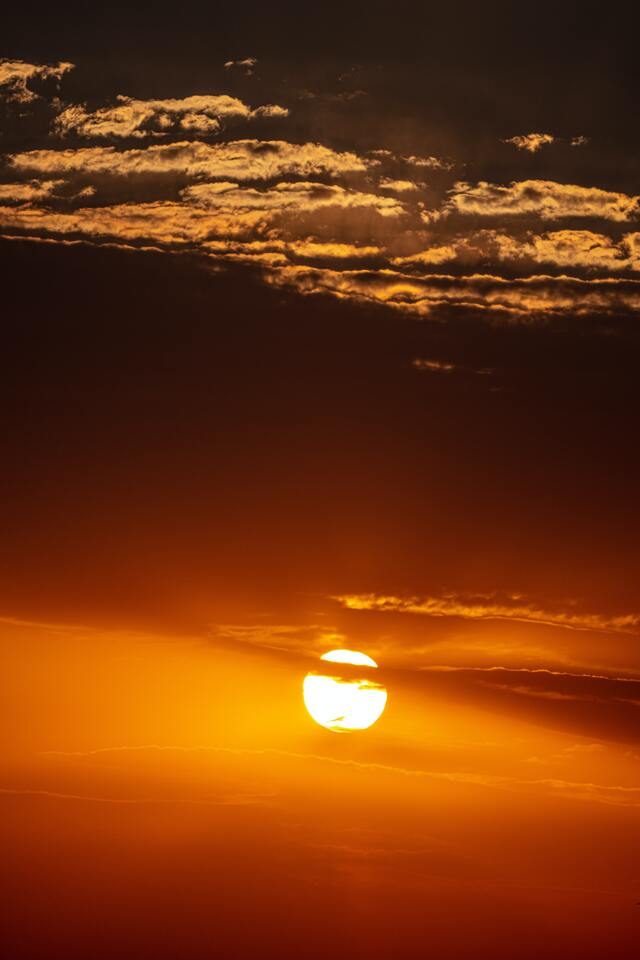 Обои 2025-11-20 №75295