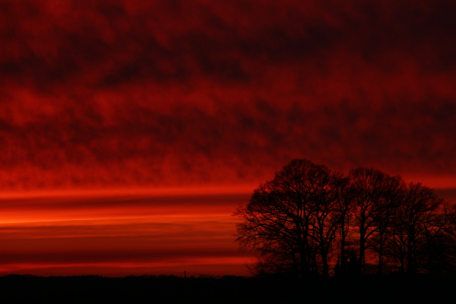 Обои 2025-11-20 №75307