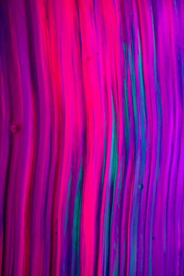 Обои 2025-11-21 №75323