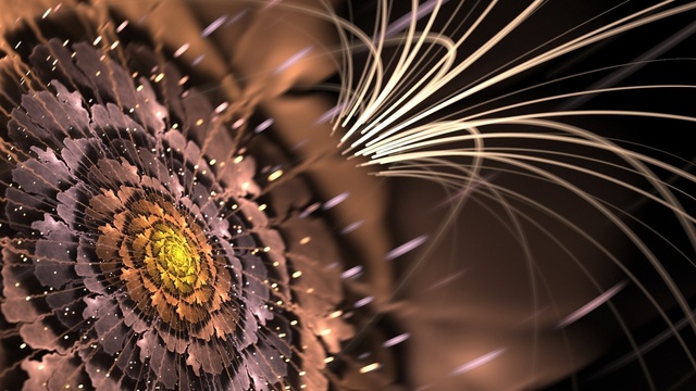 Обои 2025-11-21 №75366