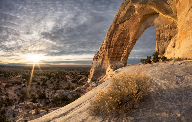 Обои 2025-11-21 №75361