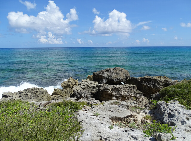 Обои 2025-11-21 №75368