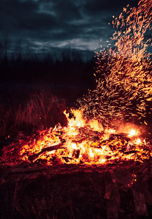 Обои 2025-11-21 №75389