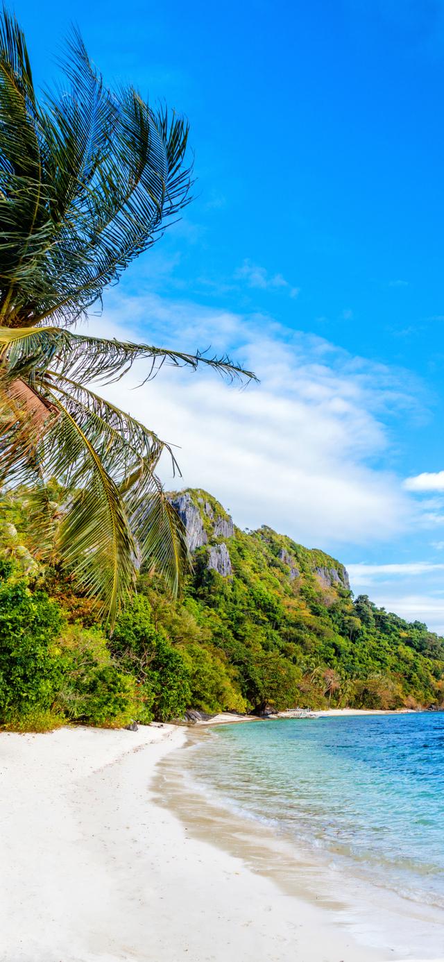 Обои 2025-11-21 №75386