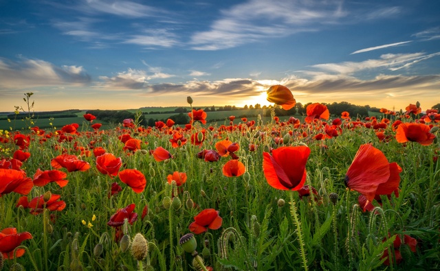 Обои 2025-11-22 №75472