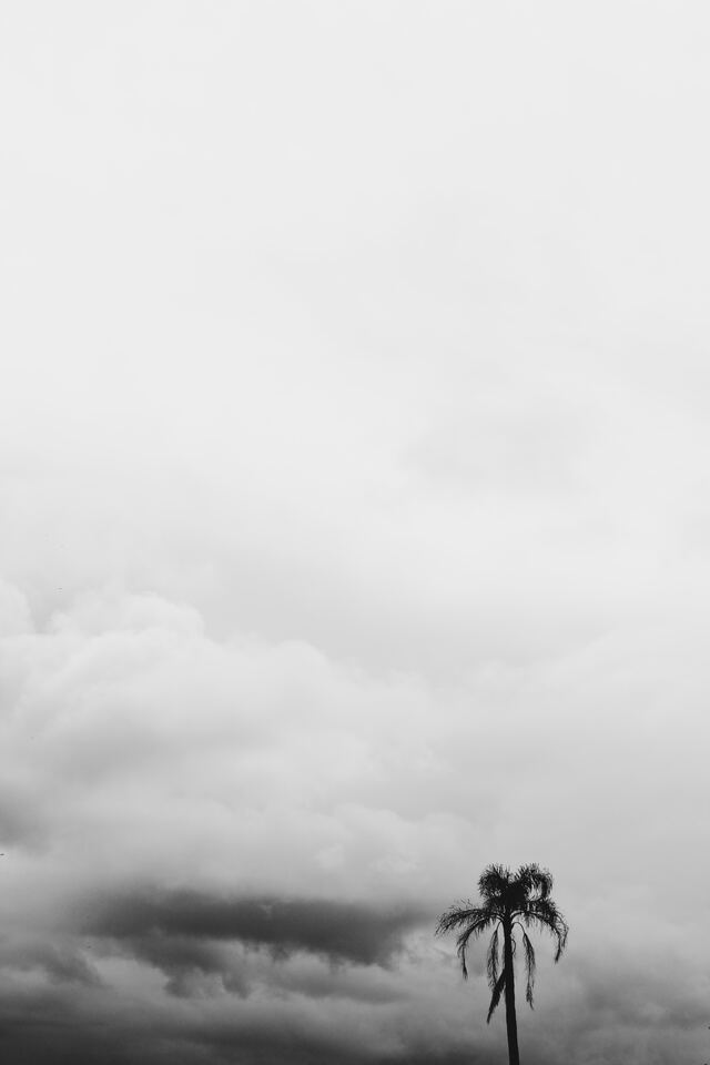 Обои 2025-11-23 №75513