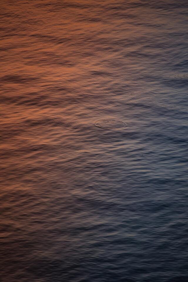 Обои 2025-11-23 №75524