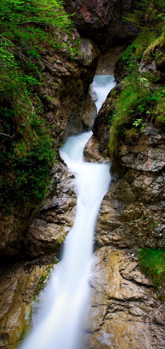 Обои 2025-11-23 №75535