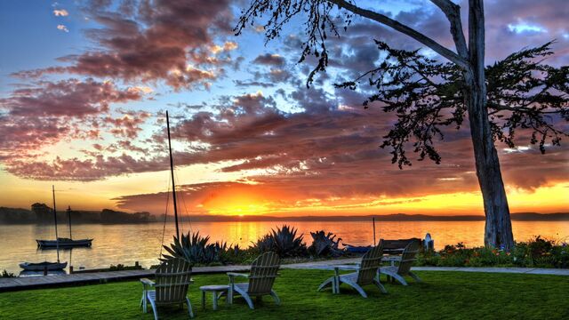 Обои 2025-11-24 №75567