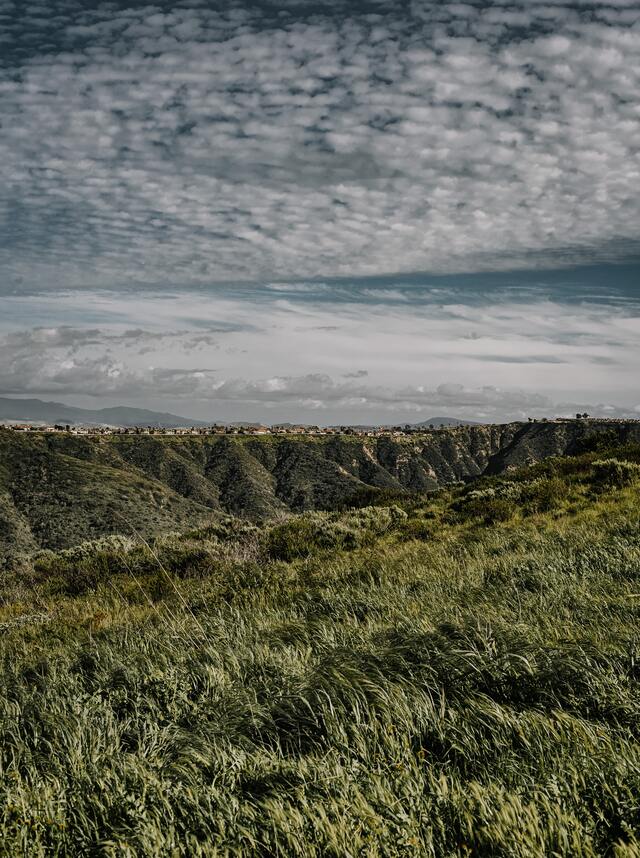 Обои 2025-11-24 №75564