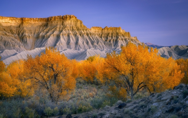 Обои 2025-11-24 №75600