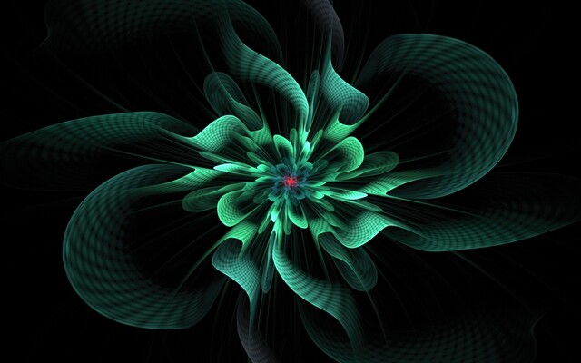 Обои 2025-11-24 №75611