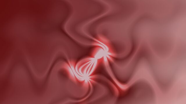 Обои 2025-11-25 №75634