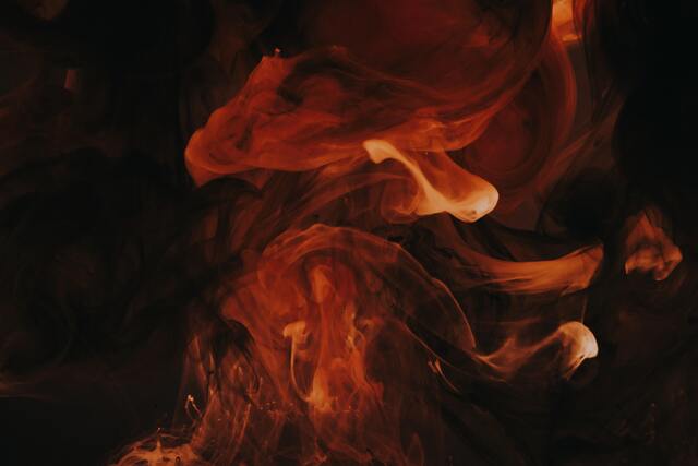 Обои 2025-11-25 №75633