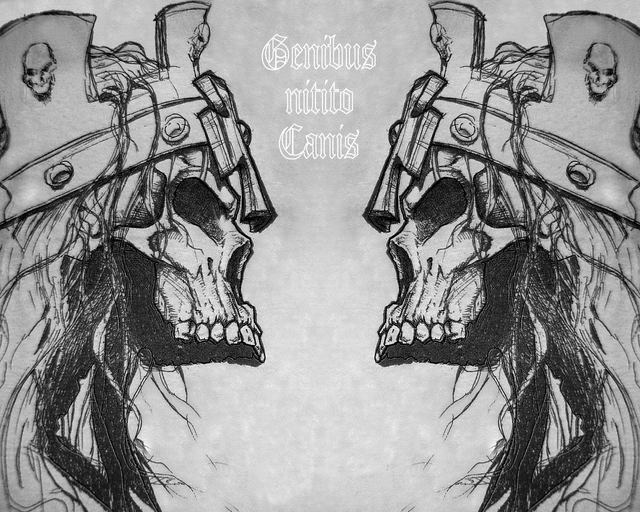 Обои 2025-11-25 №75658