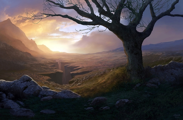 Обои 2025-11-25 №75675