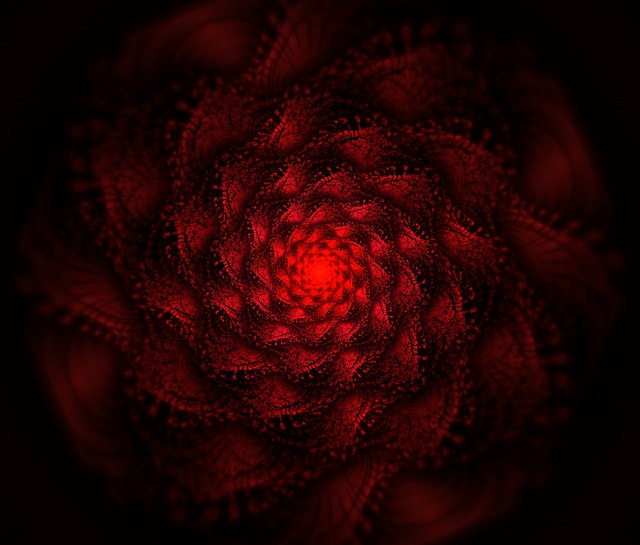 Обои 2025-11-26 №75723