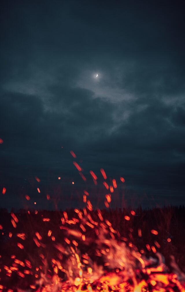 Обои 2025-11-26 №75736