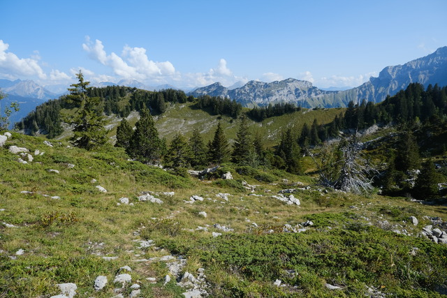 Обои 2025-11-26 №75740