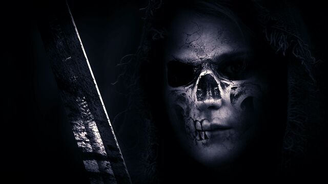 Обои 2025-11-27 №75785