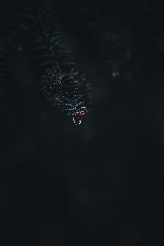 Обои 2025-11-28 №75867