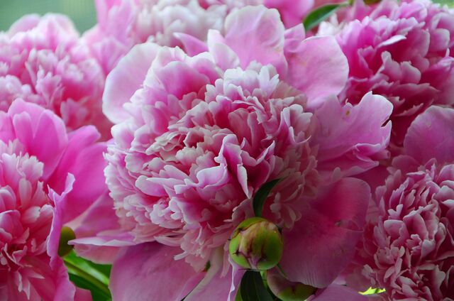 Обои 2025-11-28 №75897