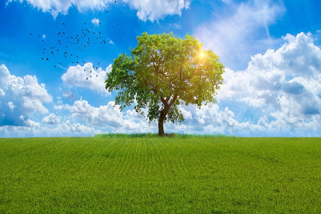 Обои 2025-11-28 №75896