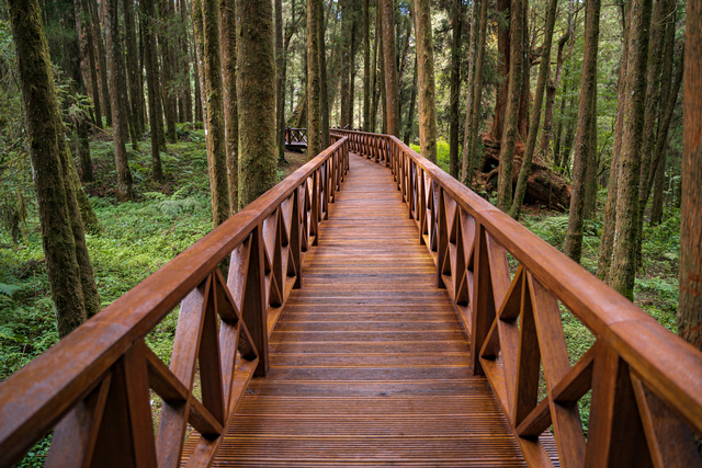 Обои 2025-11-28 №75906