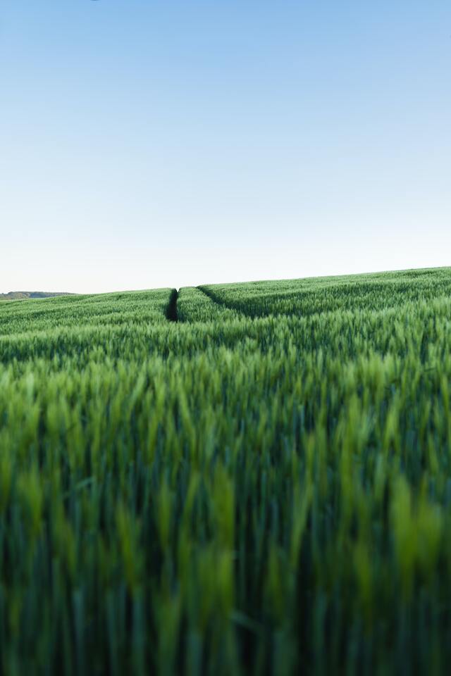 Обои 2025-11-28 №75903