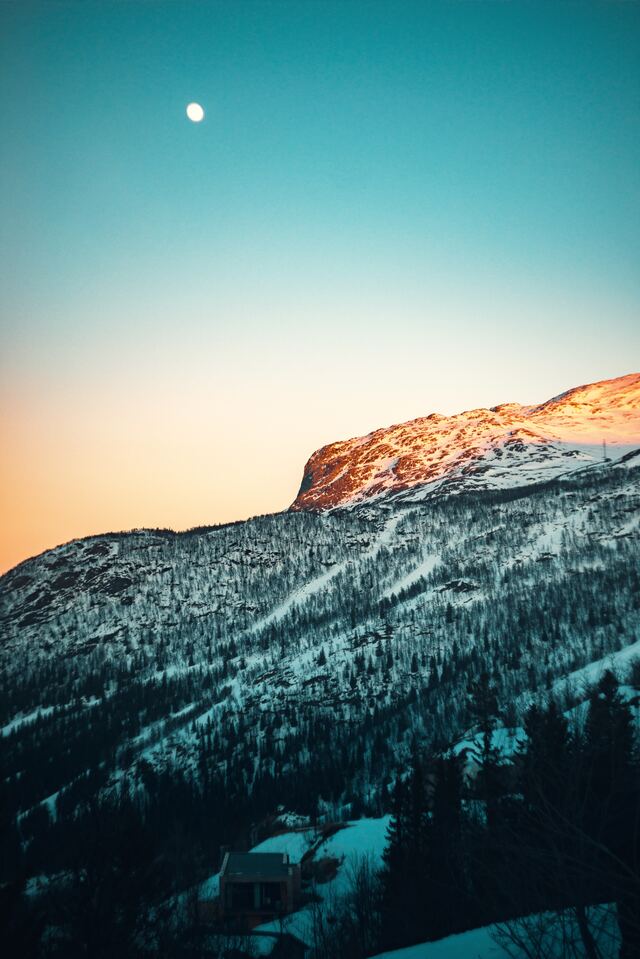 Обои 2025-11-29 №75933