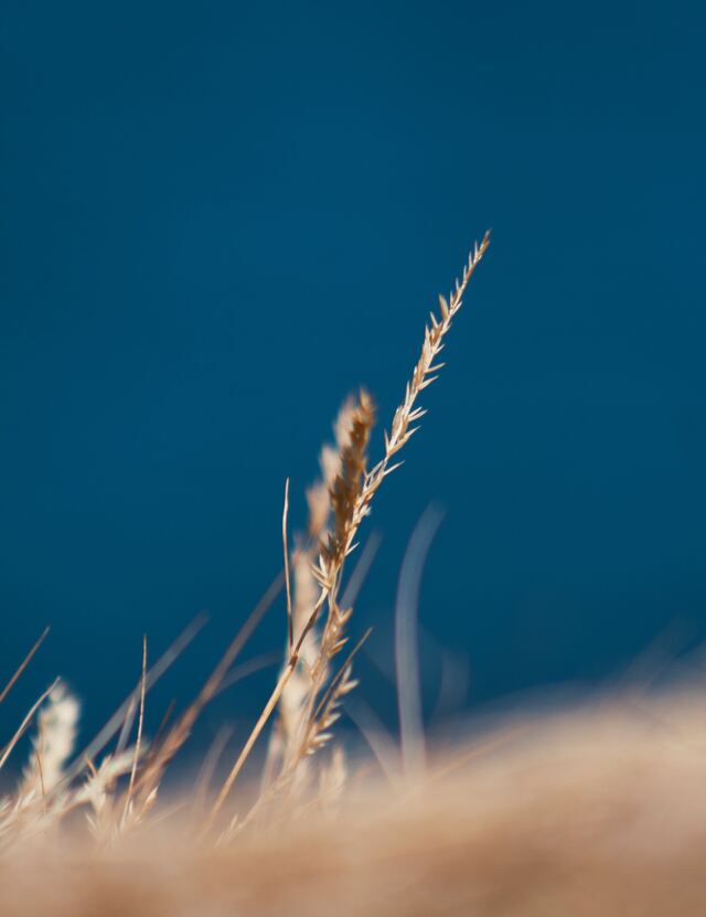 Обои 2025-11-29 №75930