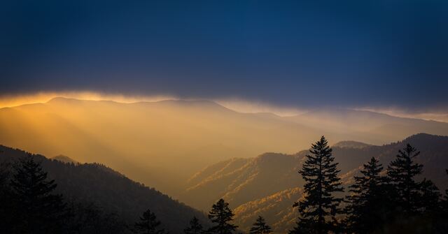 Обои 2025-11-29 №75962