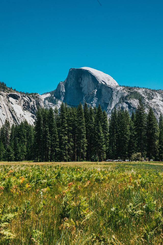 Обои 2025-11-29 №75960