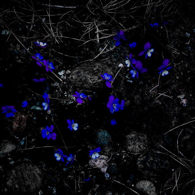 Обои 2025-11-29 №75972