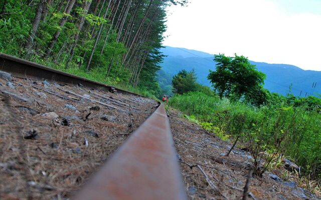 Обои 2025-11-30 №76049