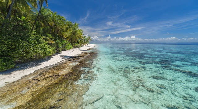 Обои 2025-11-30 №76061