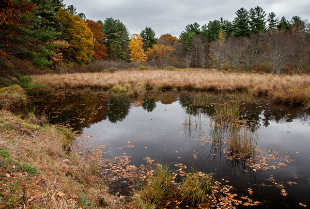 Обои 2025-12-01 №76132