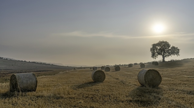 Обои 2025-12-01 №76142