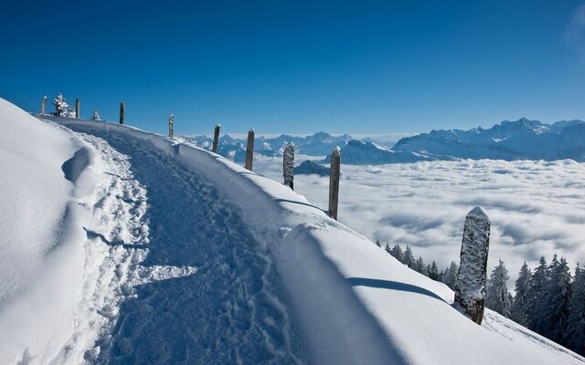 Обои 2025-12-01 №76163