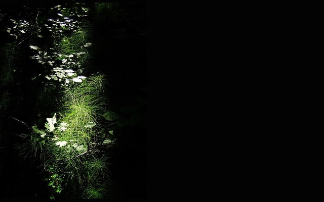 Обои 2025-12-01 №76157