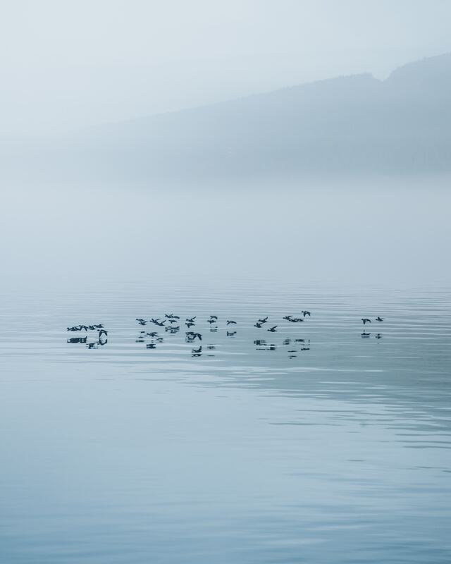 Обои 2025-12-02 №76184