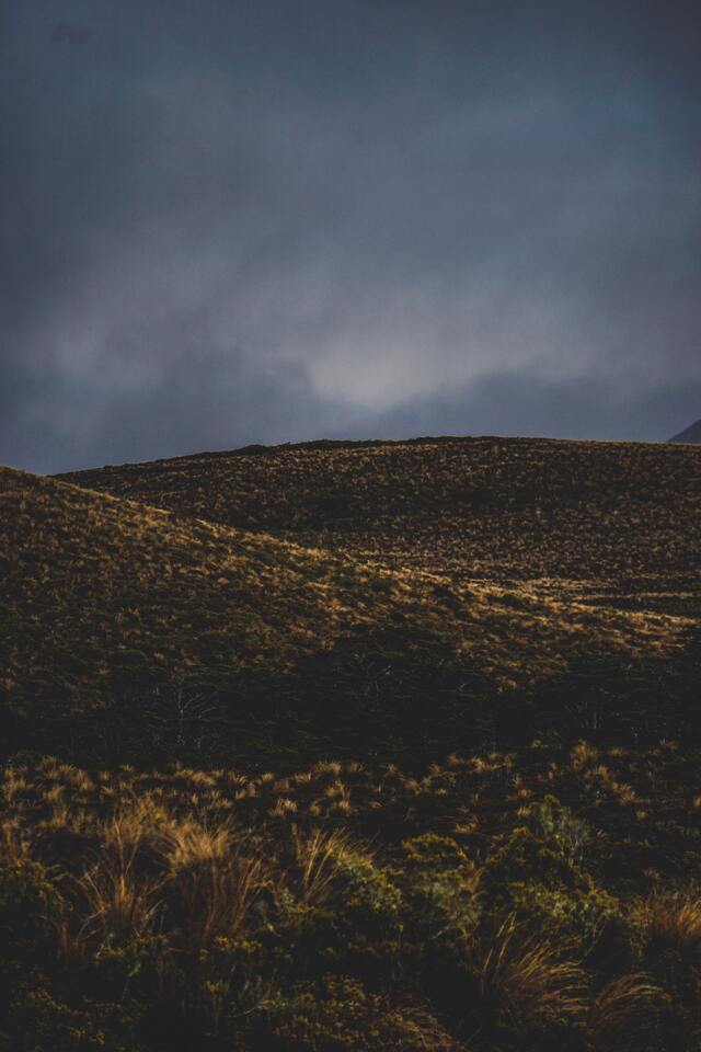 Обои 2025-12-02 №76217