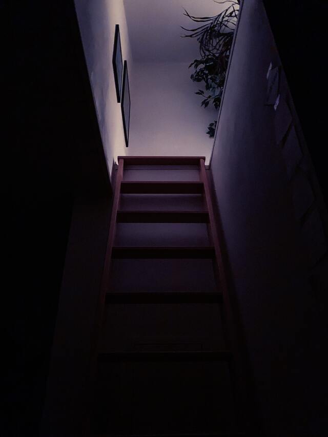 Обои 2025-12-02 №76233