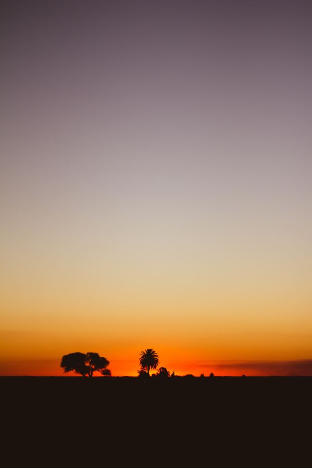 Обои 2025-12-02 №76231