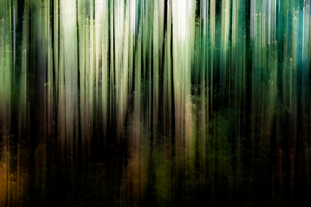 Обои 2025-12-03 №76263