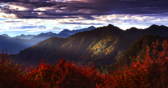 Обои 2025-12-03 №76258