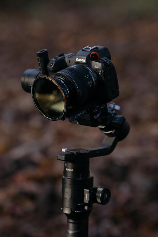 Обои 2025-12-03 №76267